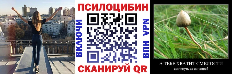 Псилоцибиновые грибы Psilocybine cubensis Тырныауз